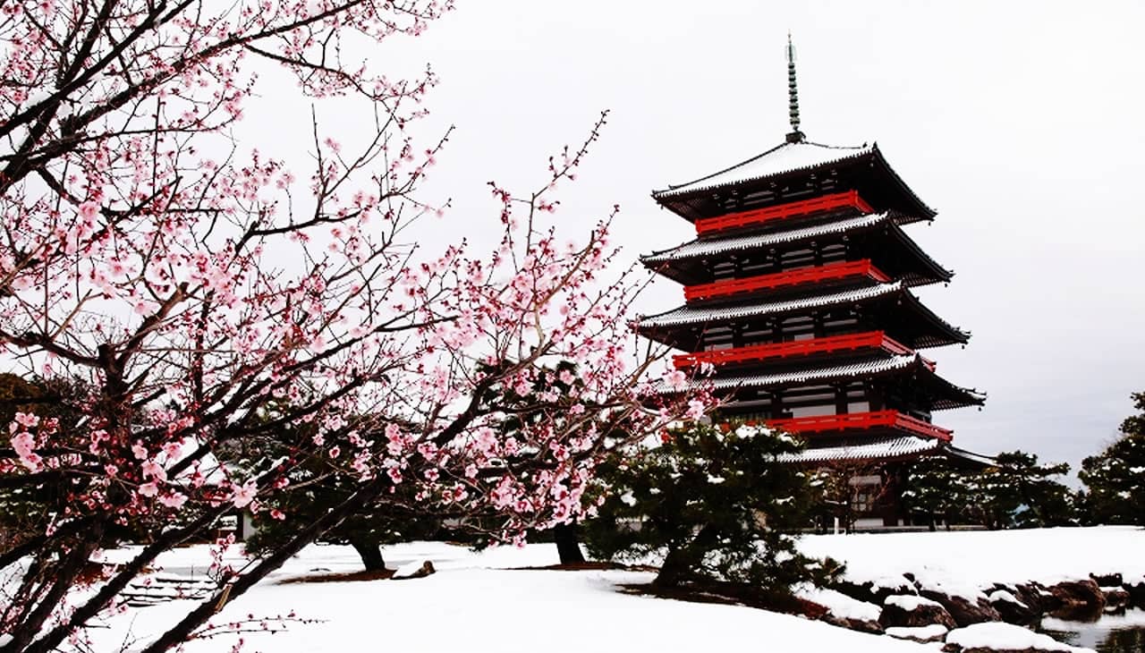 雪の蓮華院の写真